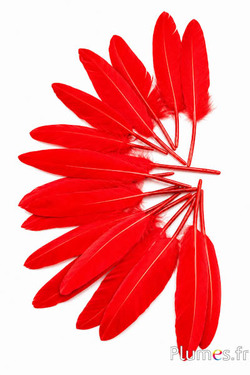 Gans - 10-15 cm - rot